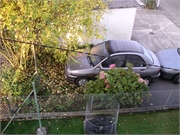 Walter 08.07.08-02.01.200984